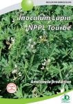 1528384304lupin+inoculum-2013.jpg